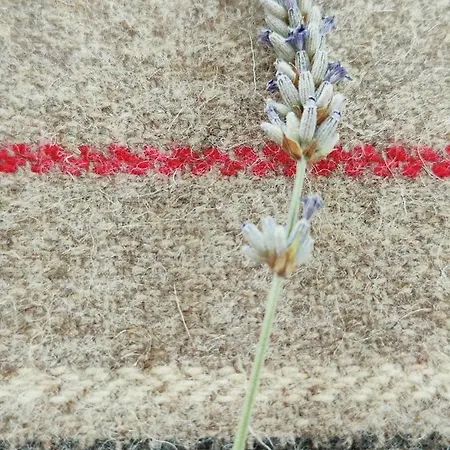 Prázdninový dům Casas Dos Senadores By Vale Do Zezere