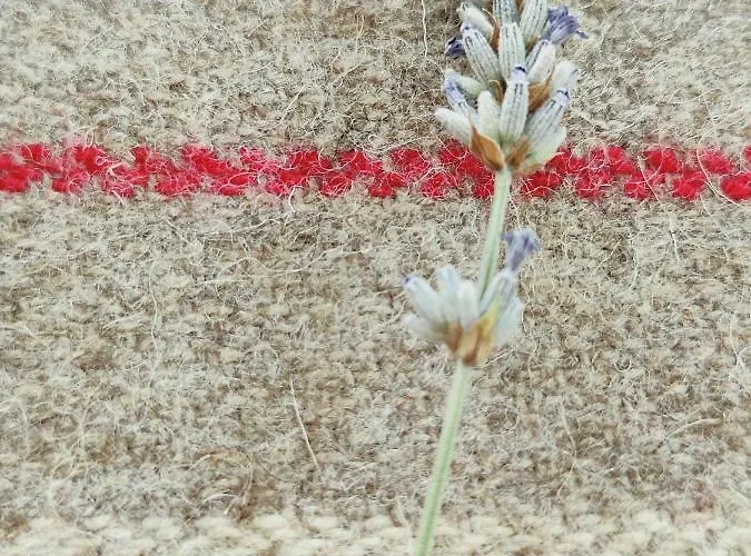 Дом отдыха Casas Dos Senadores By Vale Do Zezere